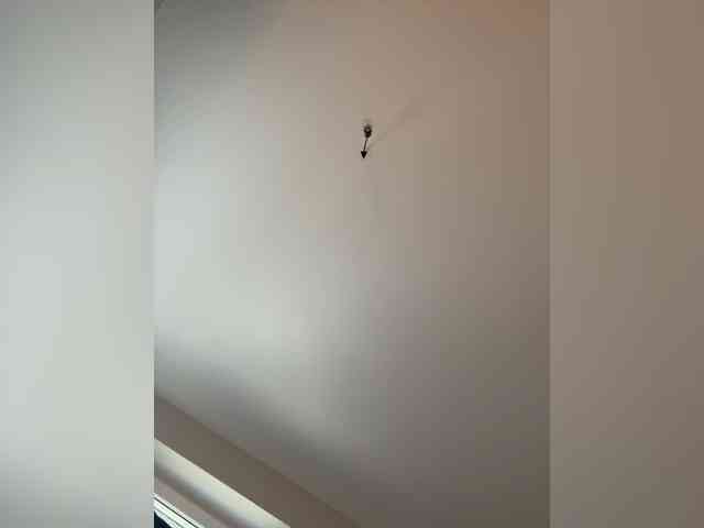 NotBellucci webcam