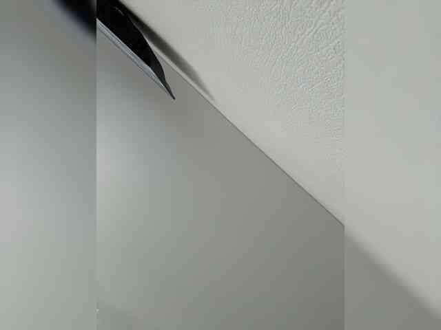 NotBellucci webcam