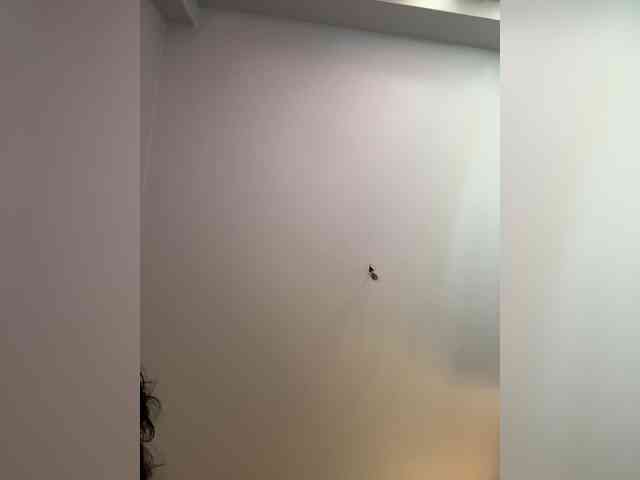 NotBellucci webcam