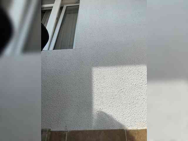 NotBellucci webcam
