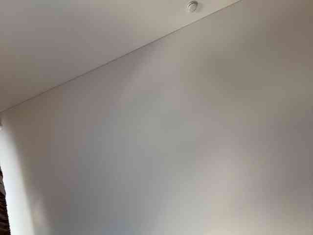 NotBellucci webcam