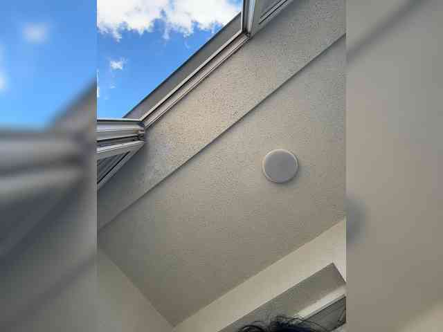 NotBellucci webcam