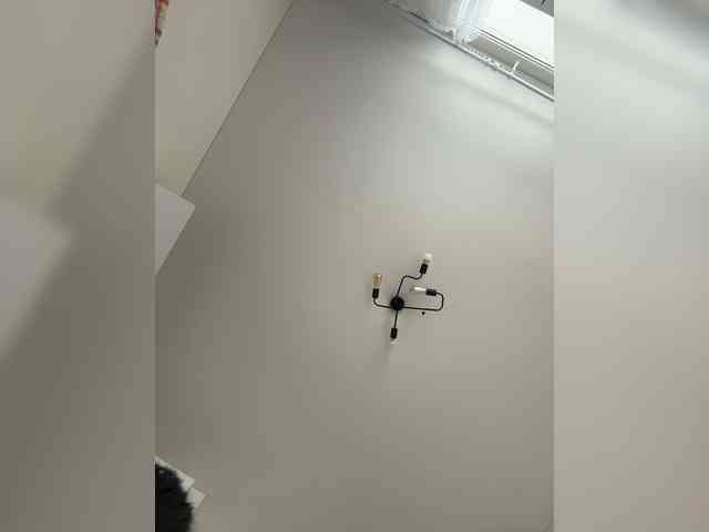 NotBellucci webcam