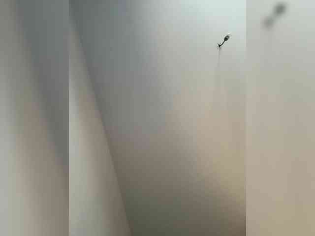 NotBellucci webcam