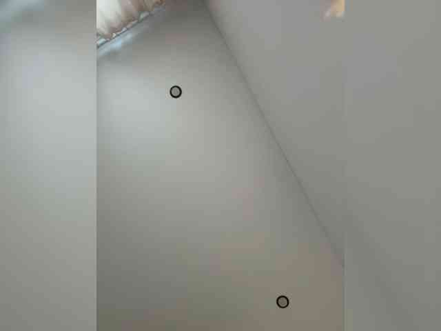 NotBellucci webcam