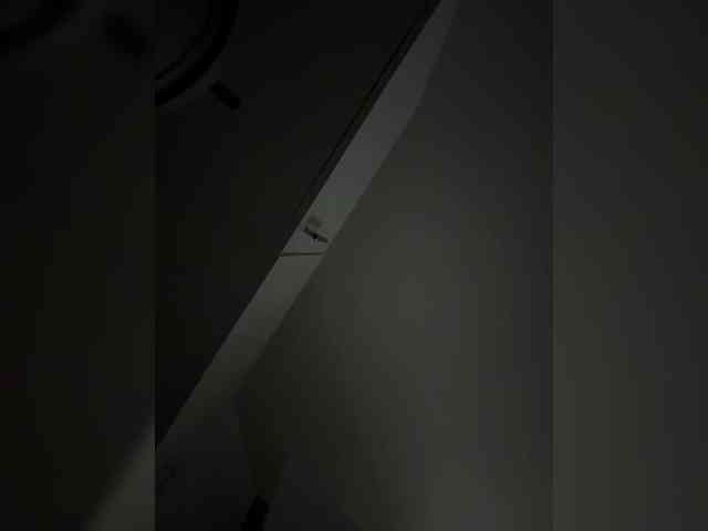 Модель: NotBellucci