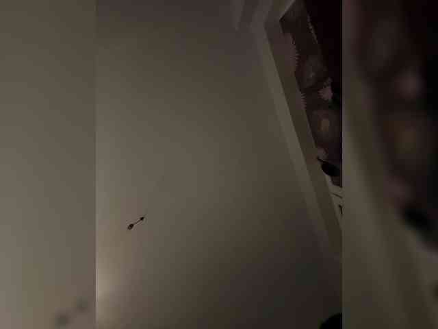 NotBellucci webcam