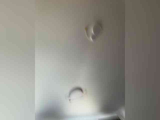 NotBellucci webcam