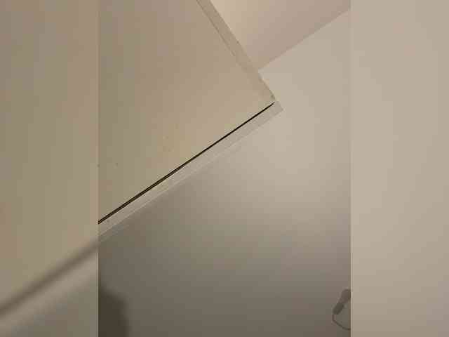 NotBellucci webcam