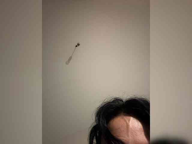 NotBellucci webcam