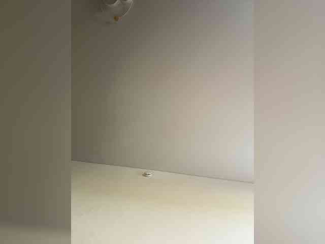 NotBellucci webcam