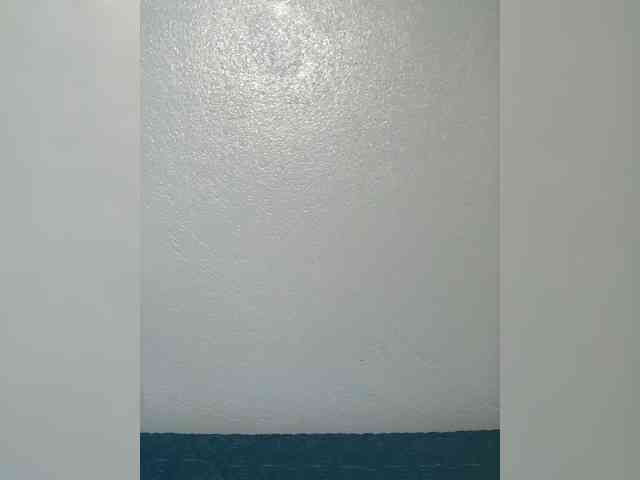 Lisa64 webcam
