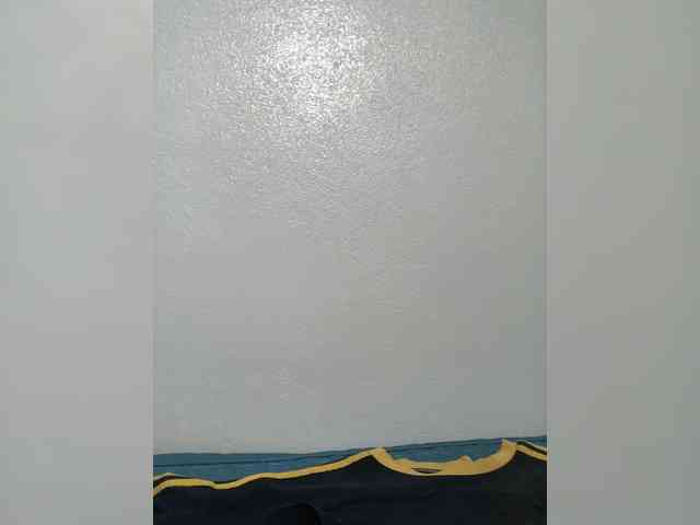 Lisa64 webcam
