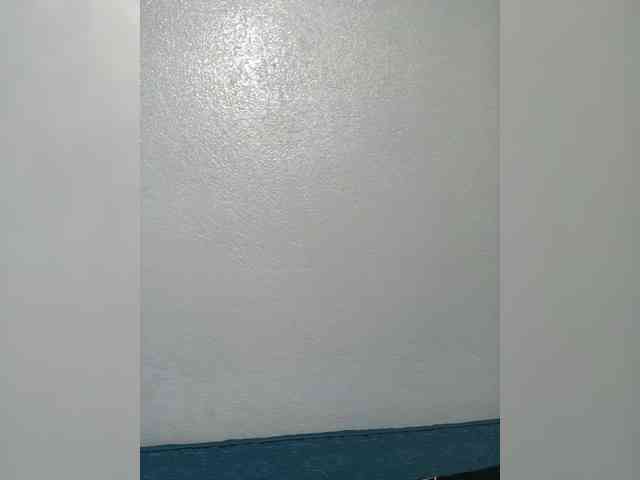 Lisa64 webcam