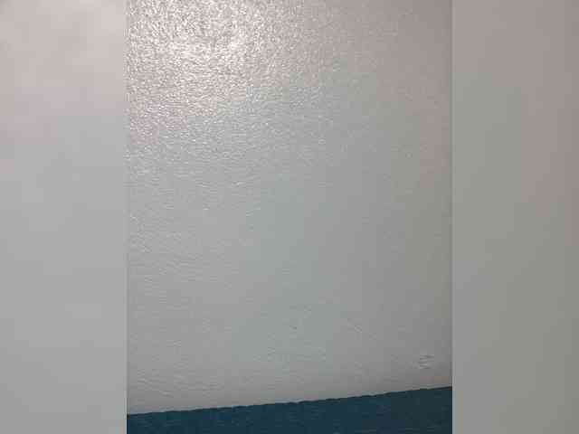 Lisa64 webcam