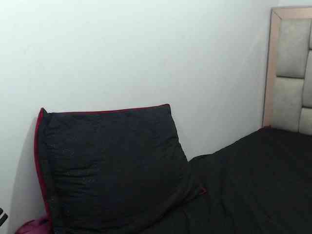 RoussFox webcam