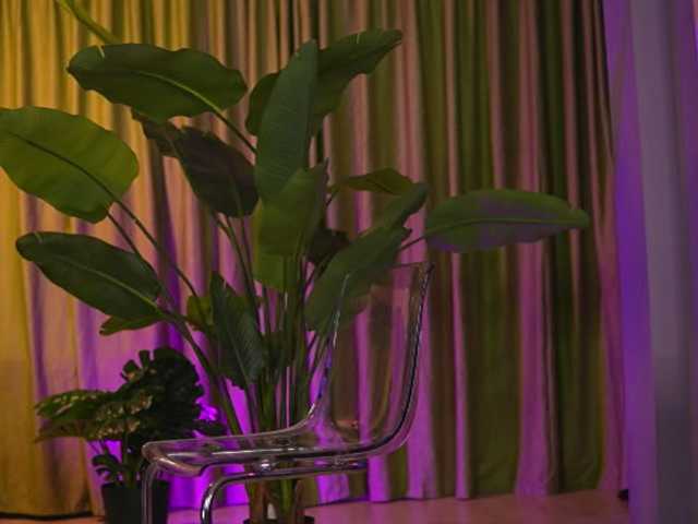 AvaSolis live cam on BongaCams