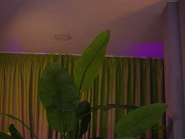 AvaSolis live cam on BongaCams