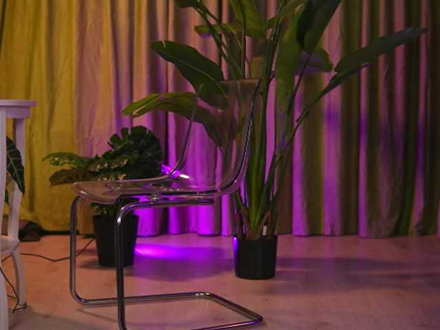 AvaSolis live cam on BongaCams
