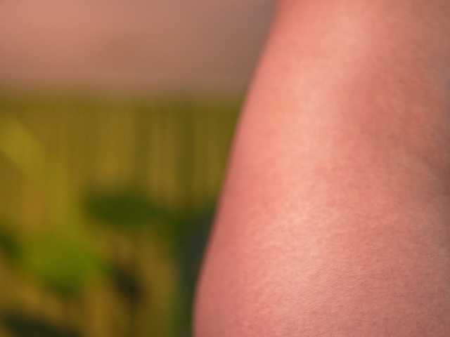 avasolis cam belle