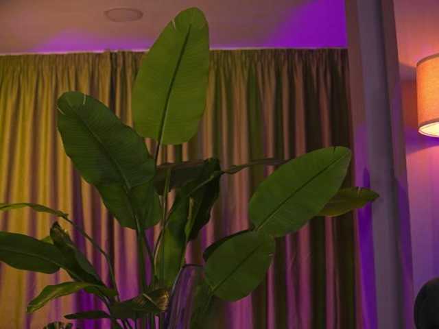AvaSolis live cam on BongaCams