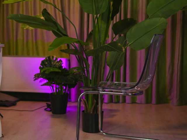 AvaSolis live cam on BongaCams
