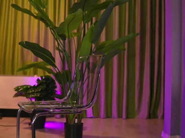 AvaSolis live cam on BongaCams