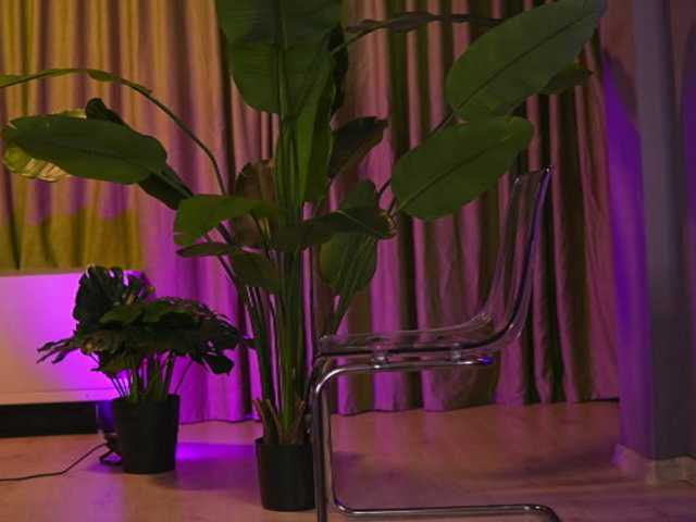 AvaSolis live cam on BongaCams