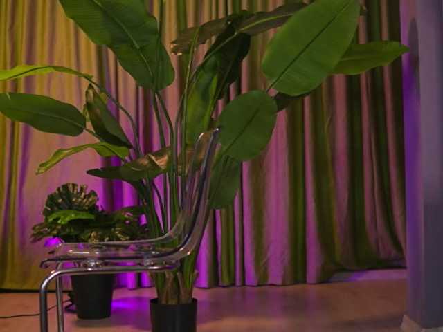 AvaSolis live cam on BongaCams