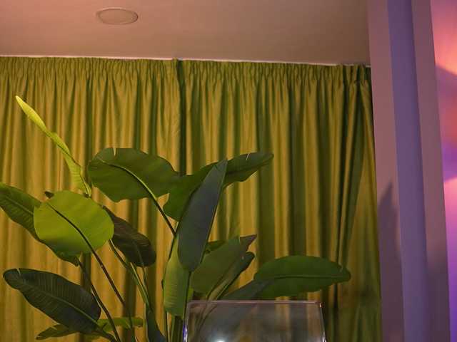 AvaSolis live cam on BongaCams