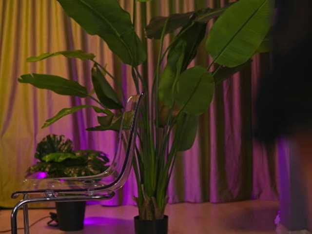 AvaSolis live cam on BongaCams