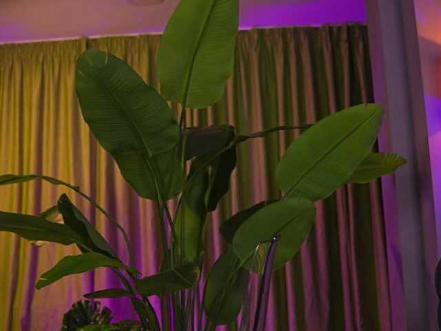 AvaSolis live cam on BongaCams