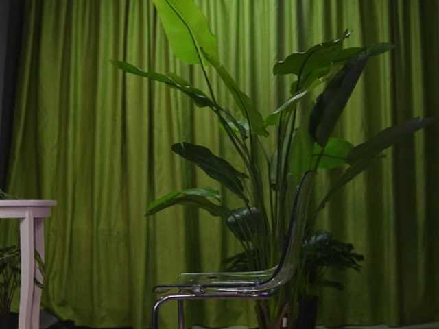 AvaSolis live cam on BongaCams