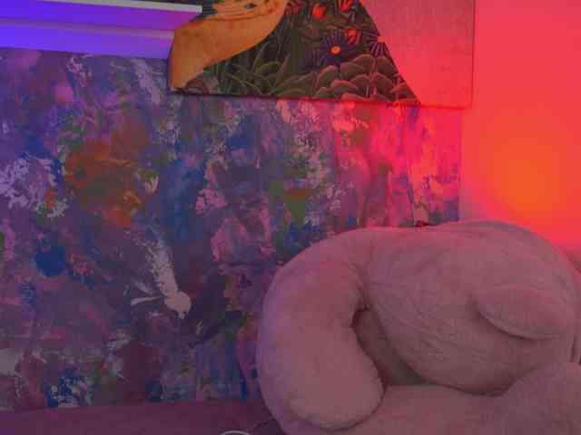 AvaSolis webcam