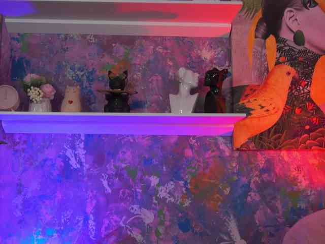 AvaSolis webcam