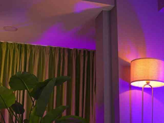 AvaSolis webcam