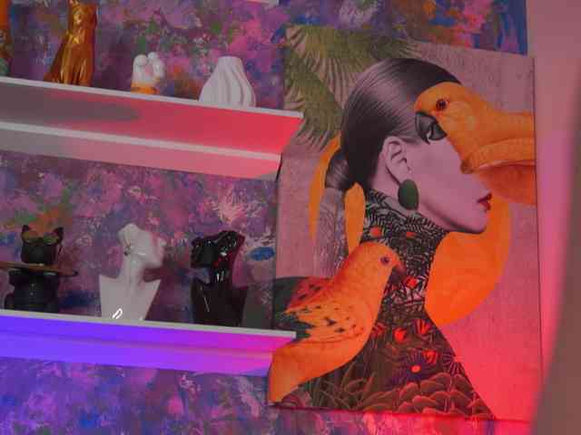 AvaSolis webcam