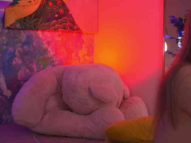 AvaSolis webcam