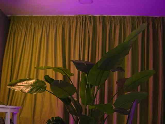 AvaSolis webcam