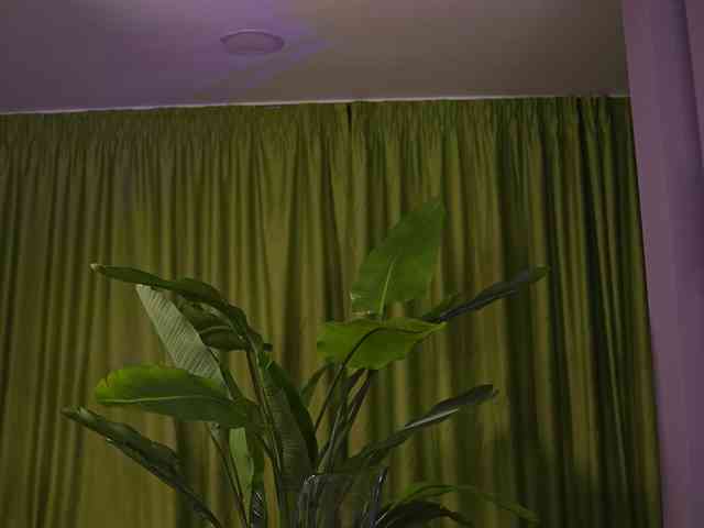 AvaSolis webcam