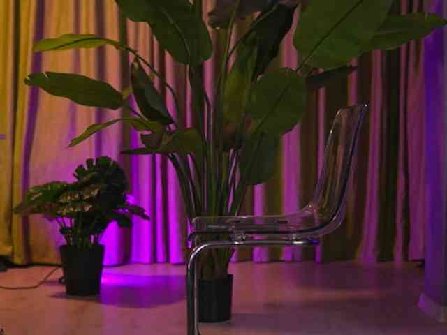 AvaSolis webcam