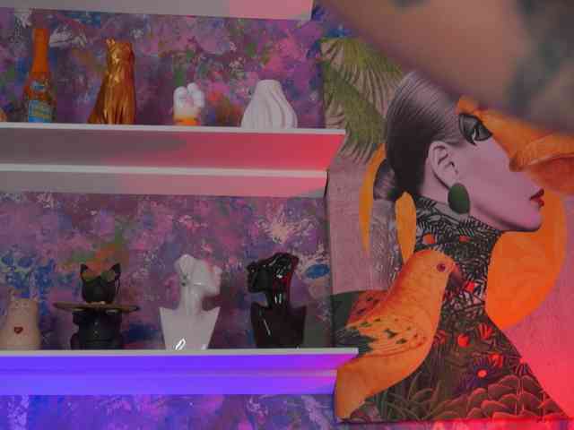 AvaSolis webcam