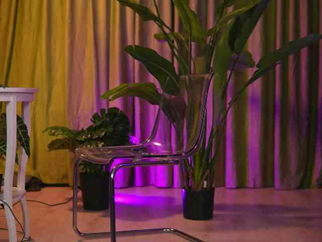 avasolis's live room