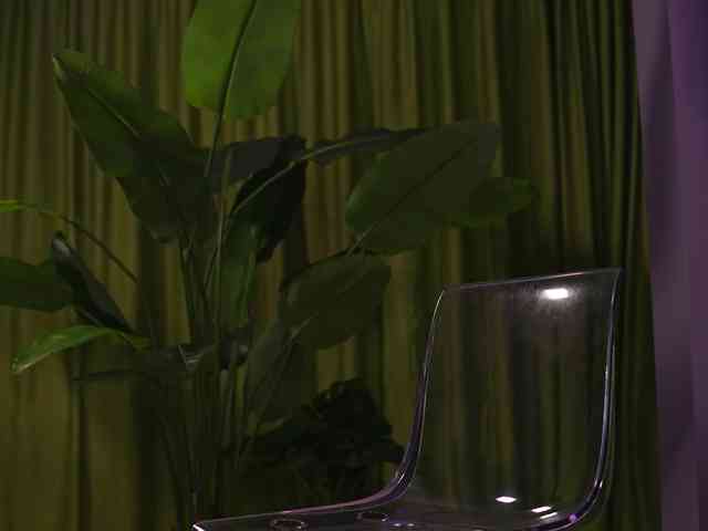 AvaSolis webcam