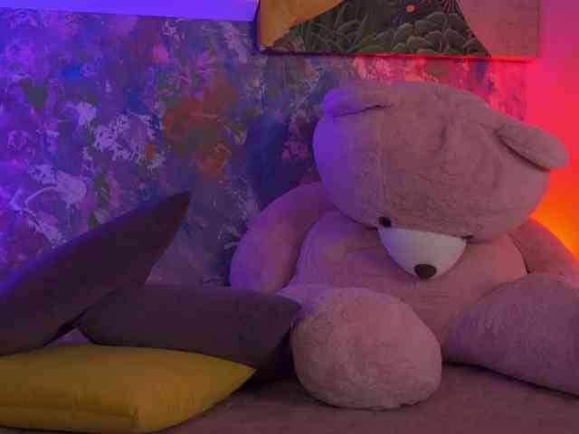 AvaSolis webcam