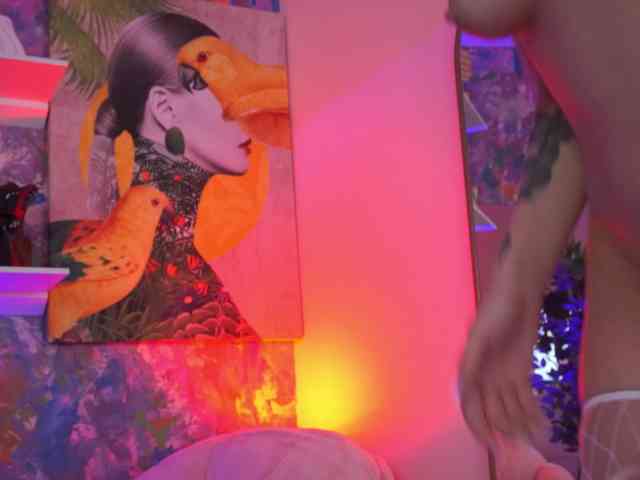 AvaSolis webcam