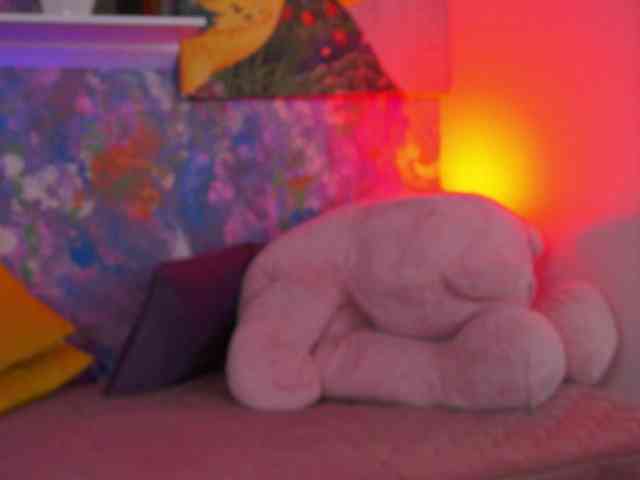 AvaSolis webcam