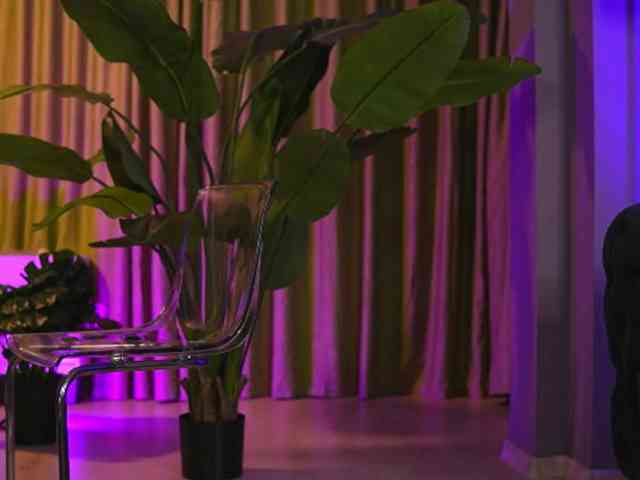 AvaSolis webcam