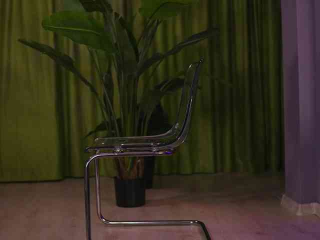 AvaSolis webcam
