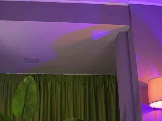 AvaSolis webcam